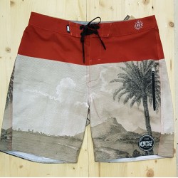 PICTURE BOARDSHORTS CODE 19